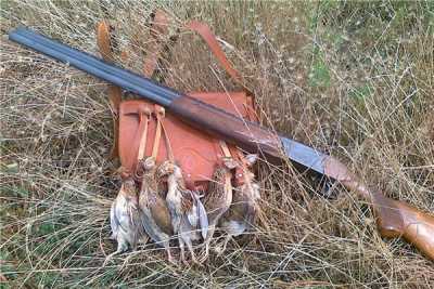 Охотники, внимание: внесены поправки в закон об охоте в Хакасии