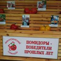 На юге Сибири выставили муляжи помидоров