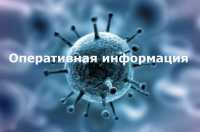 Оперативная информация по заболеваемости коронавирусом в Хакасии на 6 июня