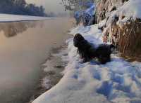 Морозное утро попало в кадр молодого фотографа из Хакасии