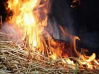 В Хакасии шаловливые дети спалили сено