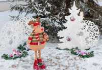 Флешмоб «Новогодние чудеса» стартовал в Хакасии