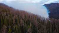 На землях лесного фонда Хакасии возникло еще два пожара