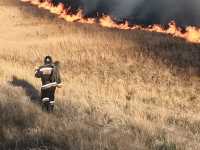 Хакасия в огне: за сутки зарегистрировано 19 пожаров