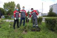 Специалисты РУСАЛа навели порядок и высадили деревья на территории саяногорской городской больницы