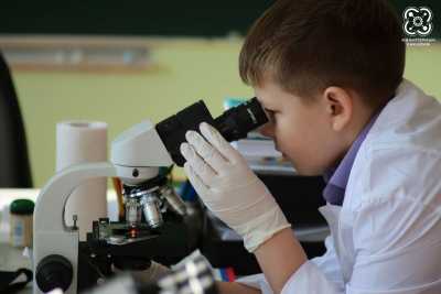 Школьники Хакасии участвуют во всероссийском конкурсе «Мир под микроскопом»