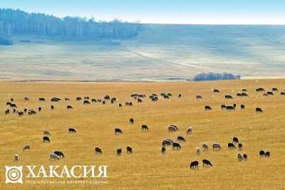 В Хакасии наведут порядок с землями сельхозназначения