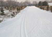 Доставайте лыжи: снежная трасса в Абакане готова