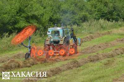 В Хакасии осваивают новый метод выращивания сельскохозяйственных растений