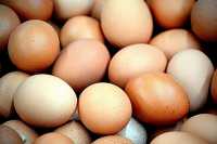 Куриные яйца подорожали на 15% в России