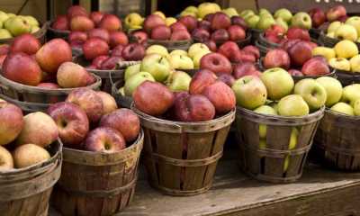 В «День яблока» предлагают пробежаться на шпильках