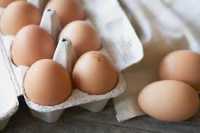 В Хакасию запретили ввозить курицу и яйца из Дании и Чехии