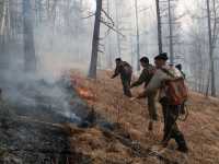 Хакасия готовится защищать леса от весенних пожаров