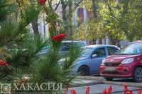 Осенние краски Абакана показала фотограф газеты «Хакасия»