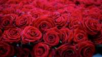 Романтики нынче не те: в Абакане мужчина украл охапку роз