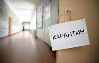 Новая эпидемия: массовый карантин в российских школах