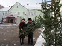 В Хакасии многодетным семьям, садикам и школам дарят ёлки