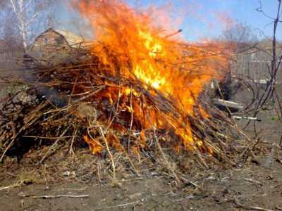 В Абакане запретили жарить шашлыки и сжигать мусор