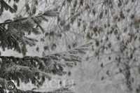 Синоптики рассказали о погоде на неделе в Абакане