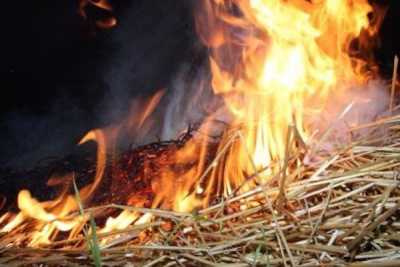 В Хакасии огонь уничтожил 7 тонн сена
