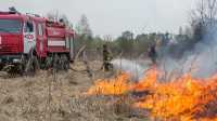 В России вступили в силу новые правила выжигания сухой травы