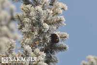 В Хакасии в первый день зимы завоют метели
