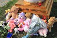 Игрушки для ангелов: в Абакане почтили память детей-жертв войны в Донбассе