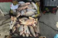 Как накажут продавцов подозрительной рыбы в городе Хакасии