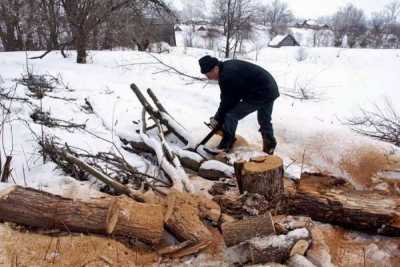 Сельчанам Хакасии помочь с заготовкой дров могут в муниципалитетах
