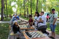 Шахматы под сенью деревьев: в Абакане открылся «Бульвар выходного дня»