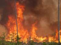 В Красноярском крае горит более 560 тысяч гектаров леса