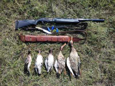 В Хакасии началась выдача разрешений на охоту