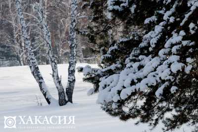 Жителей Хакасии предупреждают: 18 марта ожидается сильный ветер, снег и гололедица