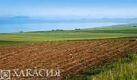 В Алтайском районе фермер испортил землю