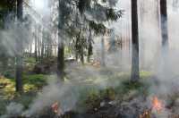 Хакасия получит дополнительные деньги на мониторинг лесных пожаров
