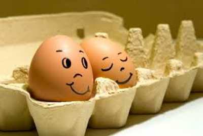 В Абакан ввезли 302 тысячи яиц по странным документам