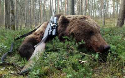 В Хакасии решено, каких животных смогут добывать охотники