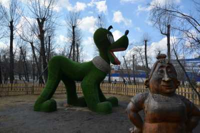Вандалы не пощадили собаку в абаканском парке