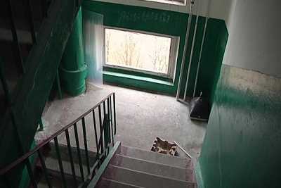 В Абакане полуторагодовалый малыш упал в подъезде с лестницы