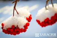 В Хакасии морозы ослабнут ко Дню всех влюбленных
